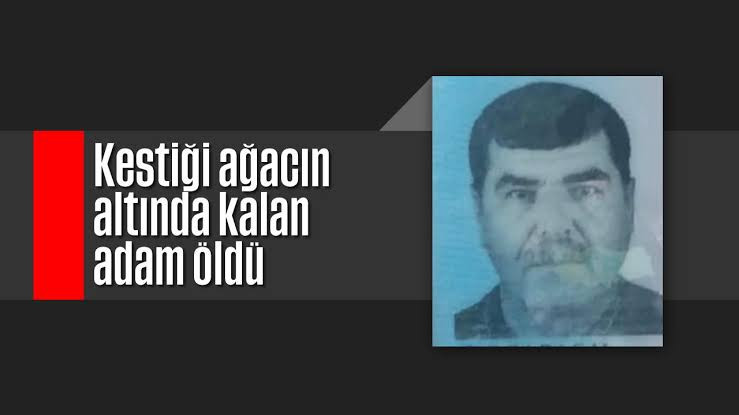 Kestiği ağacın altında kalan adam can verdi 