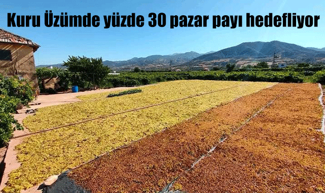 Kuru Üzümde yüzde 30 pazar payı hedefleniyor